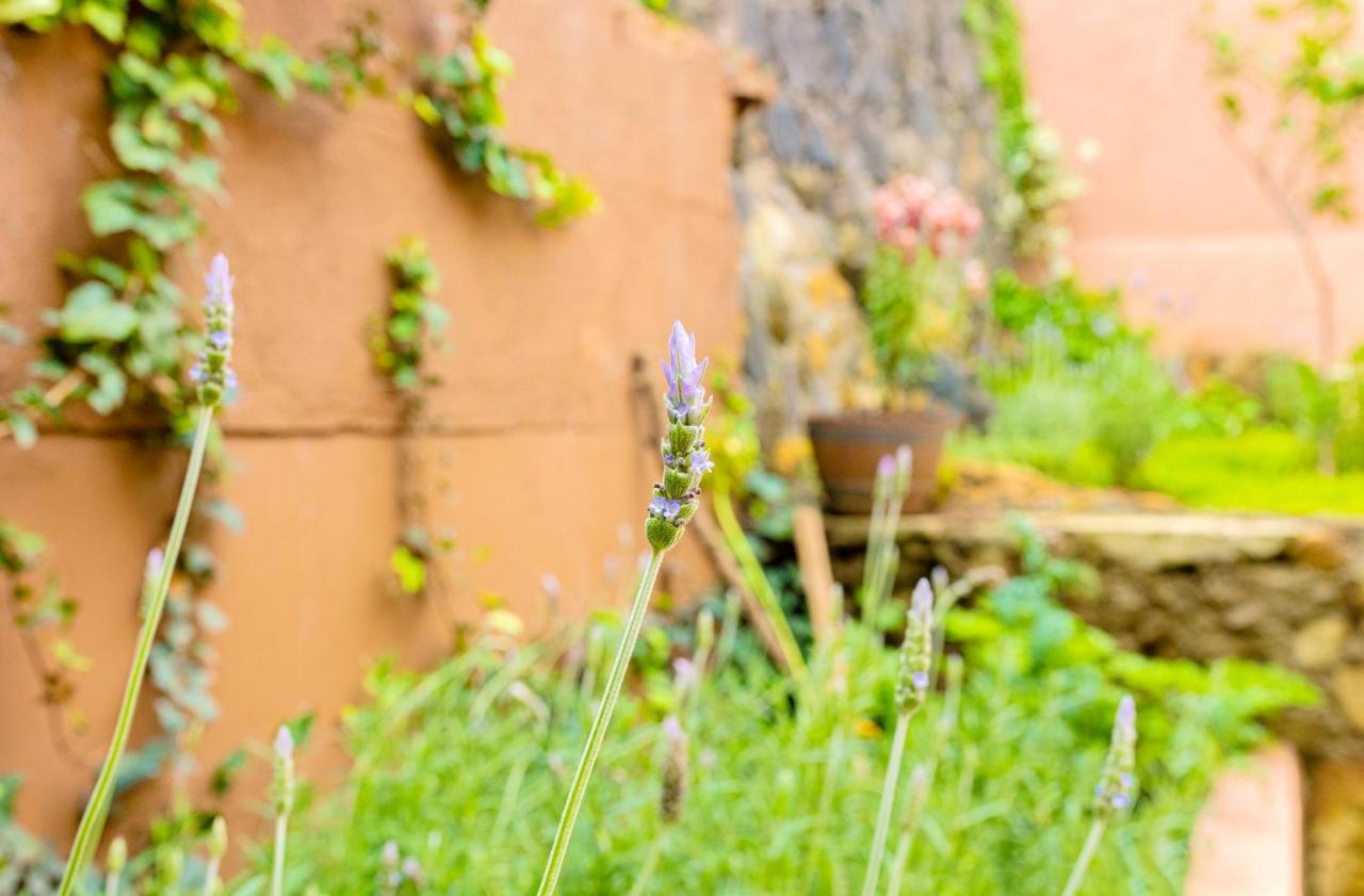 Casa Lavanda Hotel Boutique Pátzcuaro Екстериор снимка